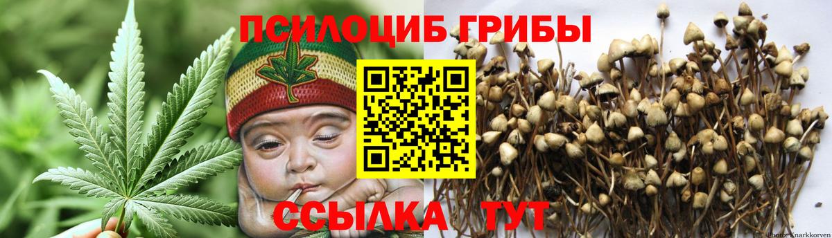 Шали  Галлюциногенные грибы Magic Shrooms  Вход с VPN 